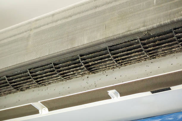 Best Air Duct Cleaning Near Me  in Foscoe, NC